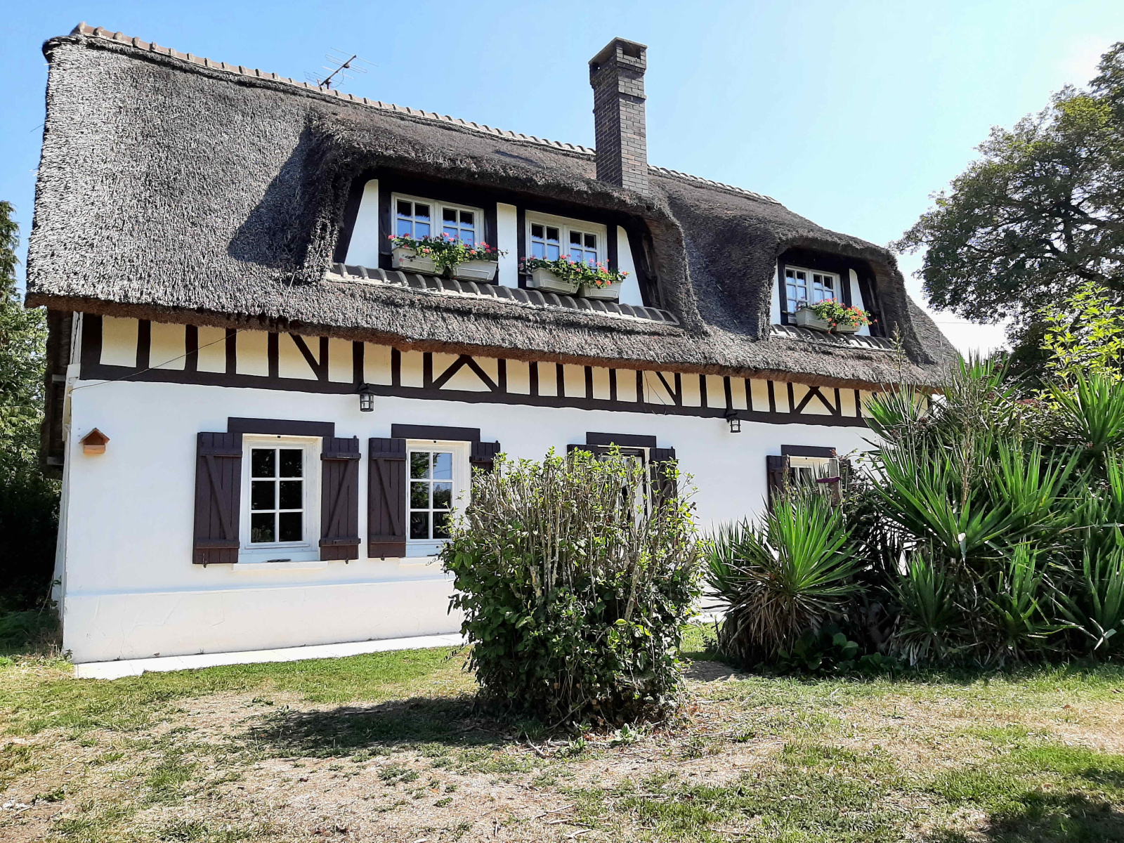 Image_, Maison, Conches-en-Ouche, ref :4546